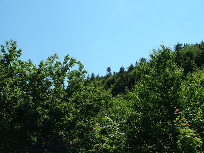 DSCF6686.JPG