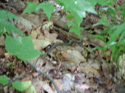DSCF6689.JPG