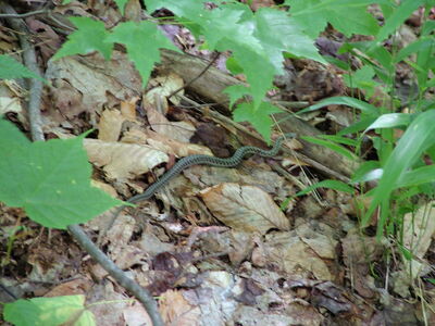 DSCF6690.JPG