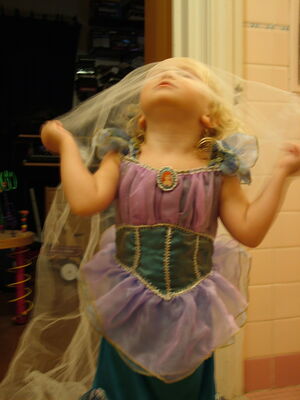 DSCF6708.JPG