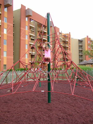 DSCF6824.JPG