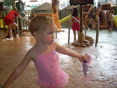 DSCN0512.JPG