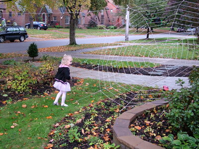 DSCF7256.JPG