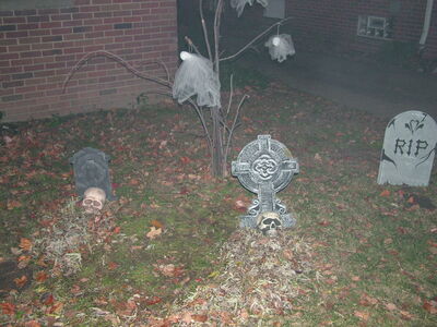 DSCF7349.JPG