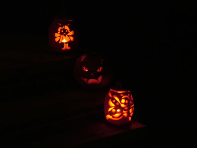 DSCF7353.JPG