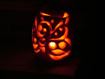 DSCF7361.JPG
