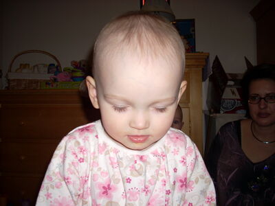 DSCN0642.JPG