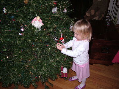 DSCF7411.JPG