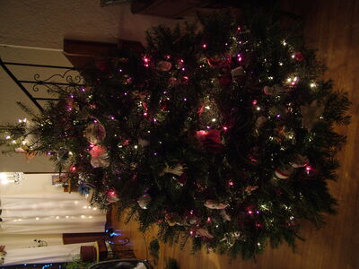 DSCF7417.JPG