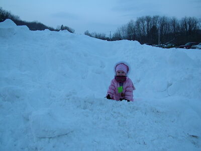 DSCF7592.JPG
