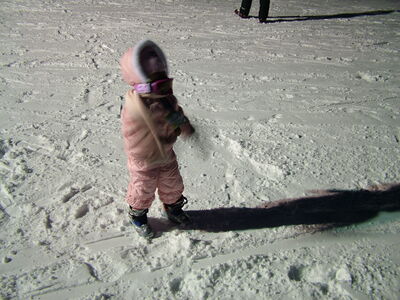 DSCF7593.JPG