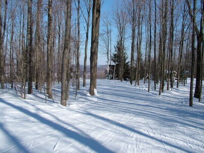 DSCF7614.JPG