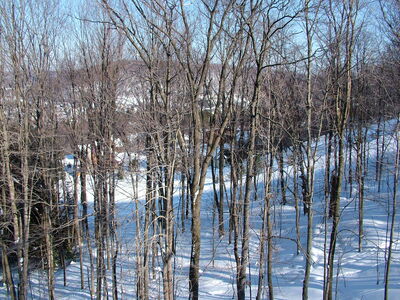 DSCF7617.JPG