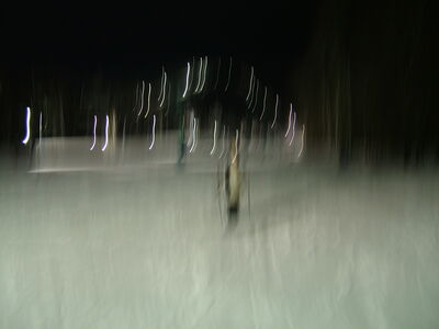 DSCF7649.JPG