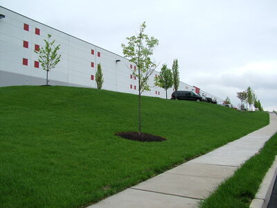 DSCF7696.JPG