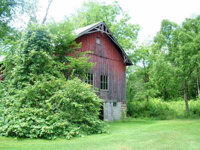 DSCF7849.JPG