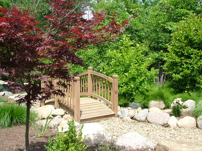 DSCF7867.JPG