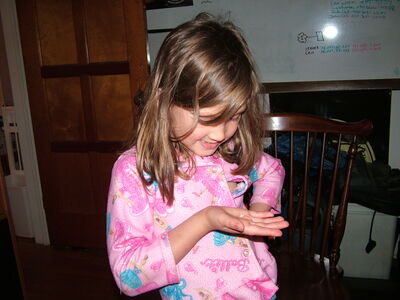 DSCF7881.JPG