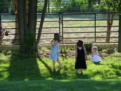 DSCF7898.JPG