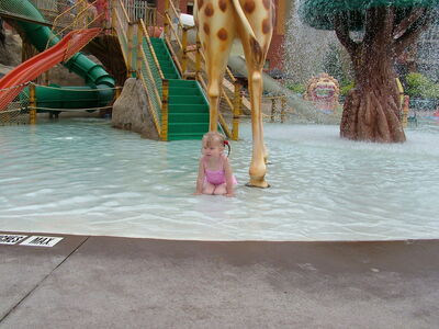 DSCF7951.JPG