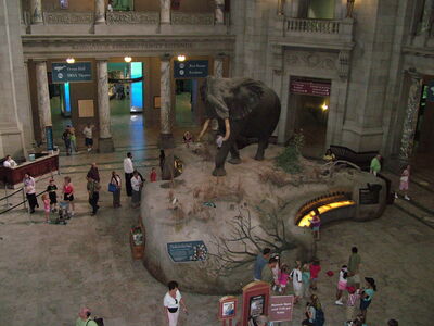 DSCF8090.JPG