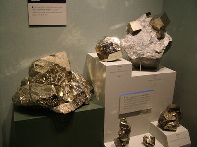 DSCF8105.JPG