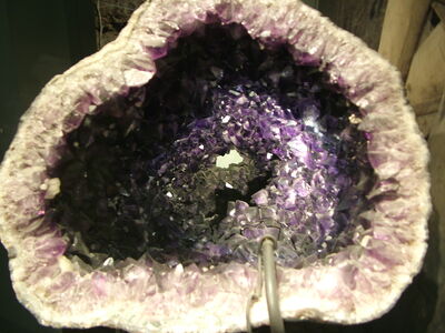 DSCF8107.JPG