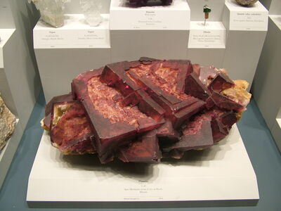 DSCF8109.JPG