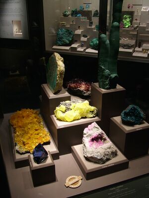 DSCF8111.JPG