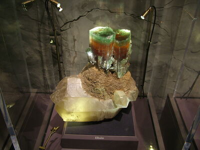 DSCF8113.JPG