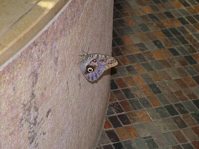 DSCF8121.JPG