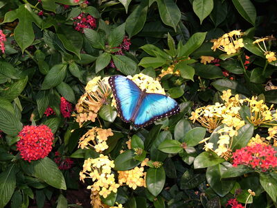 DSCF8124.JPG