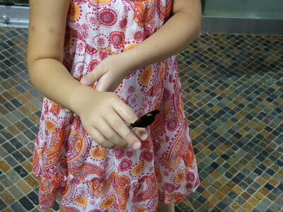 DSCF8126.JPG