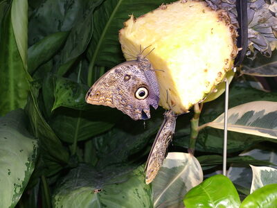 DSCF8127.JPG