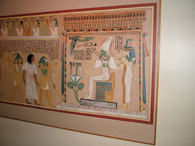 DSCF8131.JPG