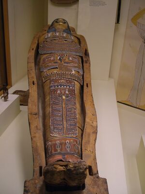 DSCF8133.JPG