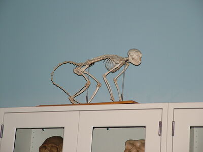 DSCF8138.JPG