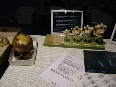 DSCF8140.JPG