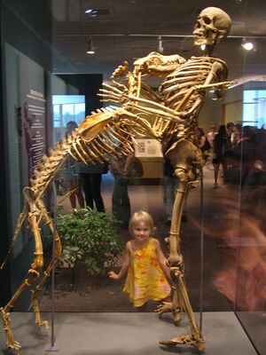 DSCF8143.JPG