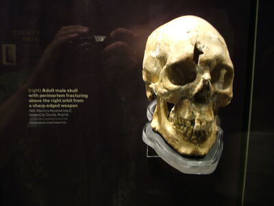DSCF8144.JPG