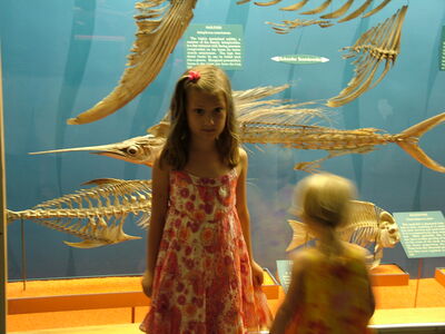 DSCF8147.JPG
