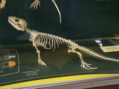 DSCF8149.JPG