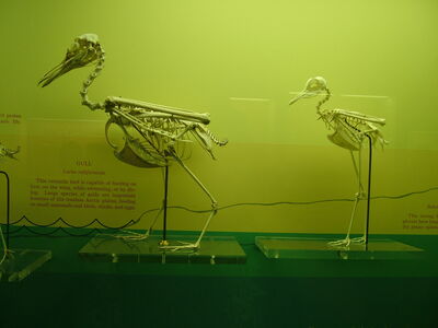 DSCF8151.JPG