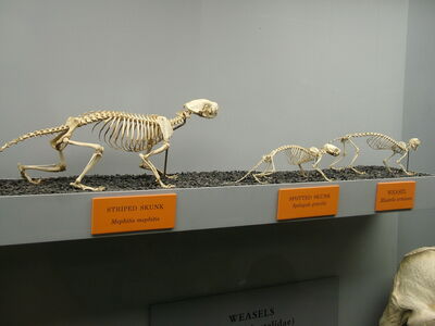 DSCF8152.JPG