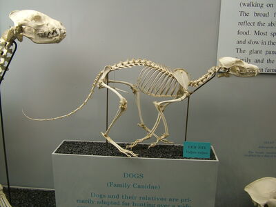 DSCF8153.JPG