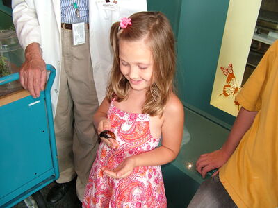 DSCF8156.JPG