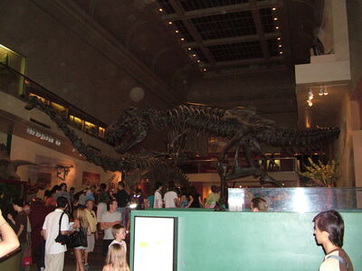 DSCF8158.JPG