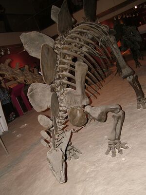DSCF8163.JPG