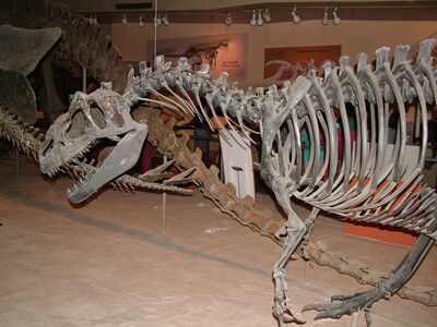 DSCF8164.JPG