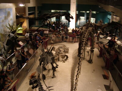 DSCF8168.JPG